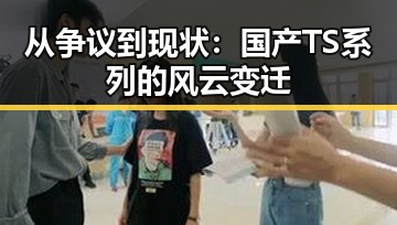 从争议到现状：国产TS系列的风云变迁