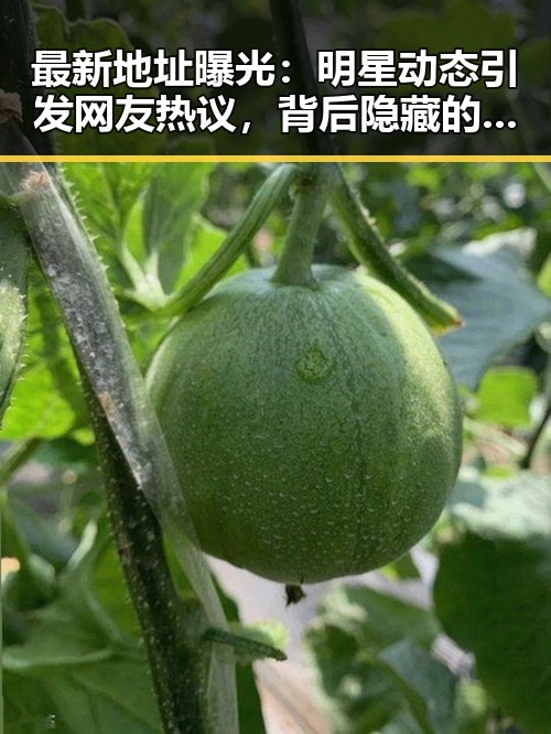 最新地址曝光：明星动态引发网友热议，背后隐藏的变数令人深思