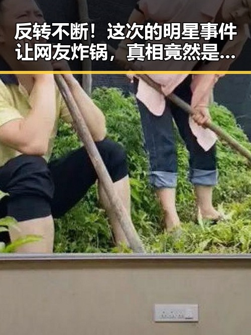 反转不断！这次的明星事件让网友炸锅，真相竟然是这样