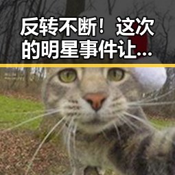 反转不断!这次的明星事件让网友炸锅,真相竟然是这样