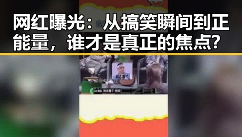 网红曝光：从搞笑瞬间到正能量，谁才是真正的焦点？